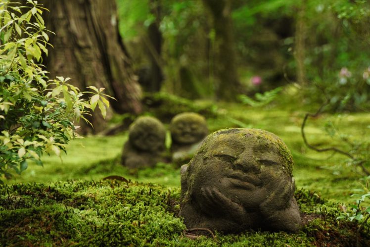 sanzen in, Temple, Ohara, Kyoto, Japan, Japan, Temple, Sculpture, Religion, Forest, Moos HD Wallpaper Desktop Background