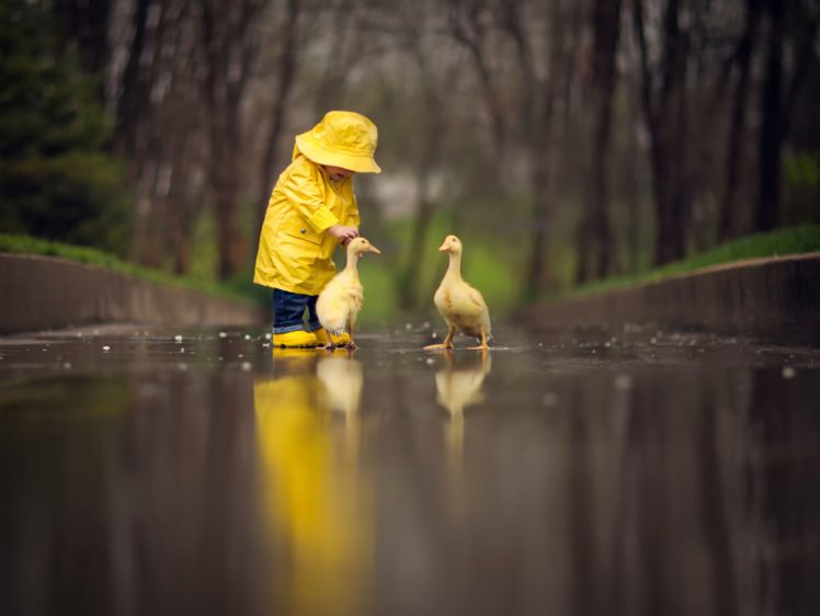 situation, Child, A, Yellow, Raincoat, Birds, Geese, Animal, Reflection, Rain HD Wallpaper Desktop Background