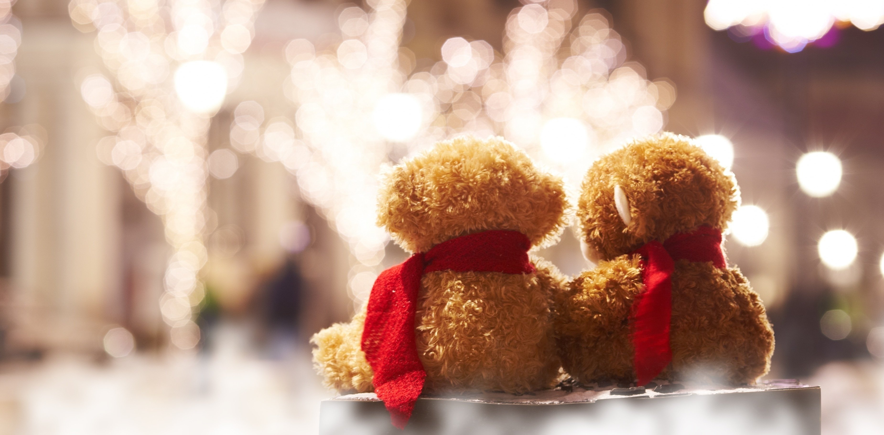 teddy, Bear, Romance, Together, Lights, Love, Mood, Toy Wallpaper
