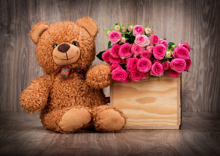 roses, Basket, Bouquet, Teddy, Bear, Love, Mood HD Wallpaper Desktop Background