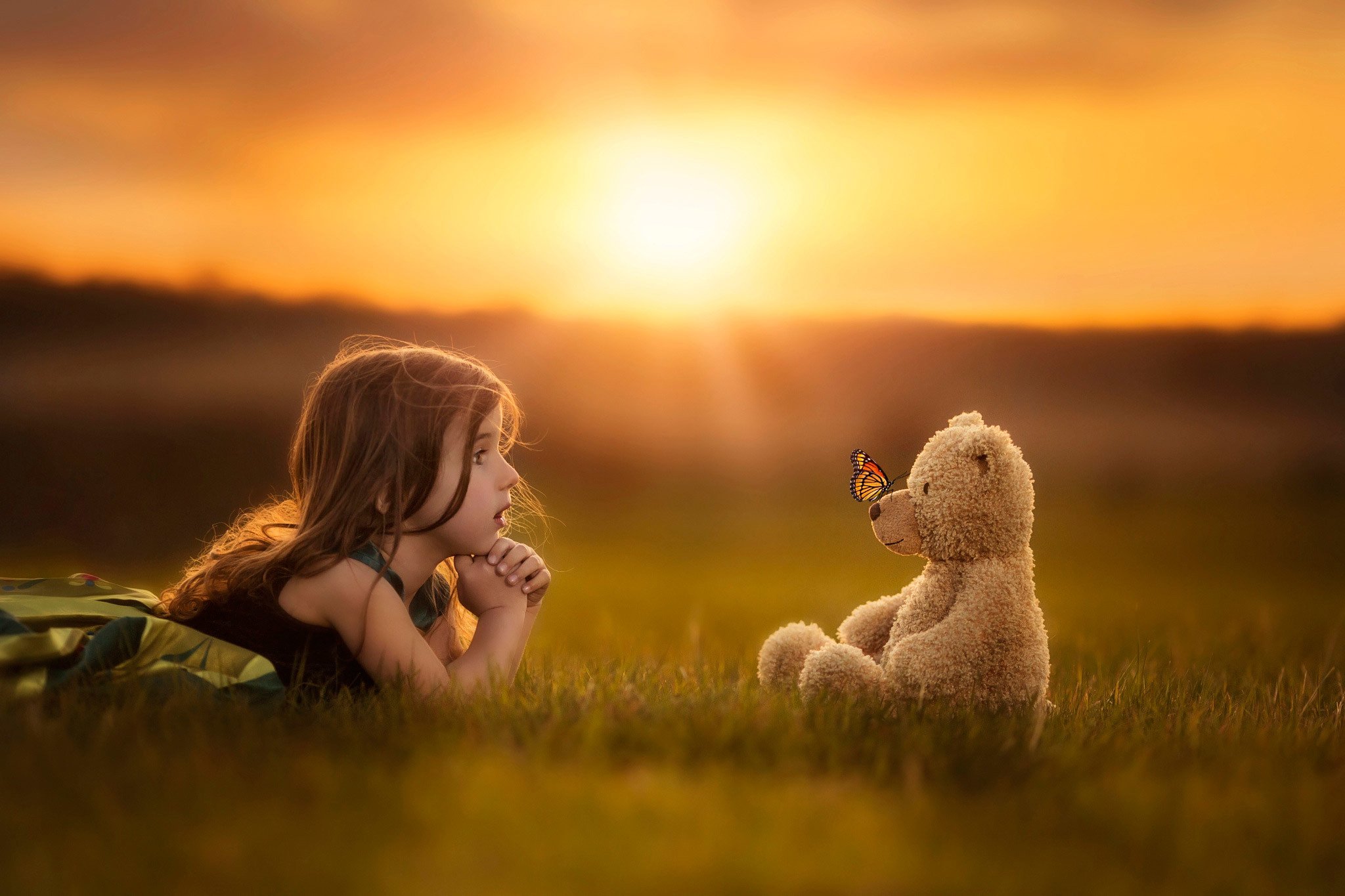 child, Girl, Toy, Teddy, Bear, Butterfly, Field, Grass, Sun, Sunset, Mood Wallpaper