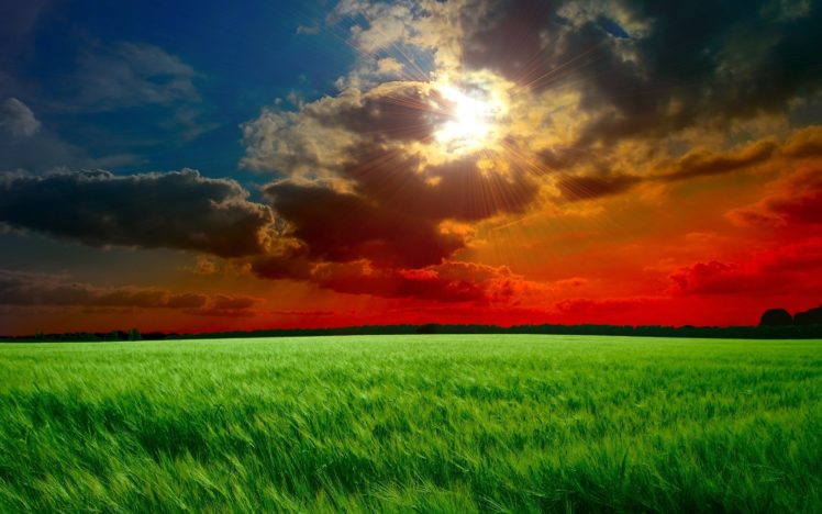 rays, Ears, Clouds, Sunset, Sky, Sun, Field, Cloud HD Wallpaper Desktop Background
