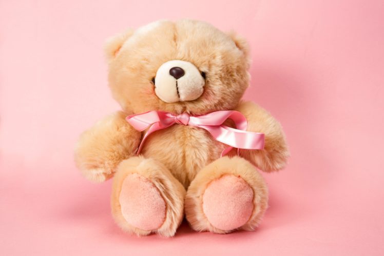 teddy, Bear, Pink, Cute, Toy HD Wallpaper Desktop Background