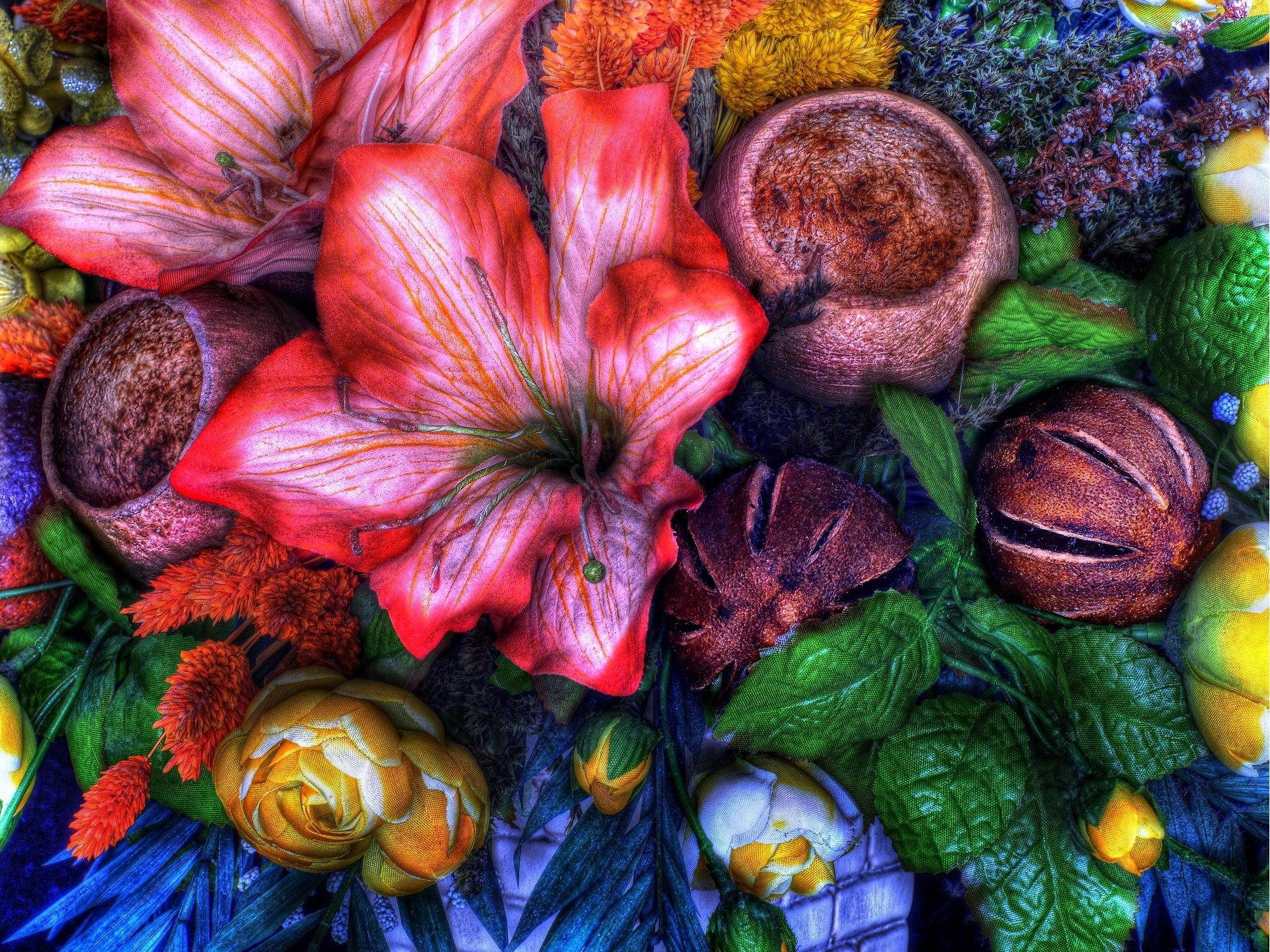 flowers, Mix, Flora, Hdr Wallpaper