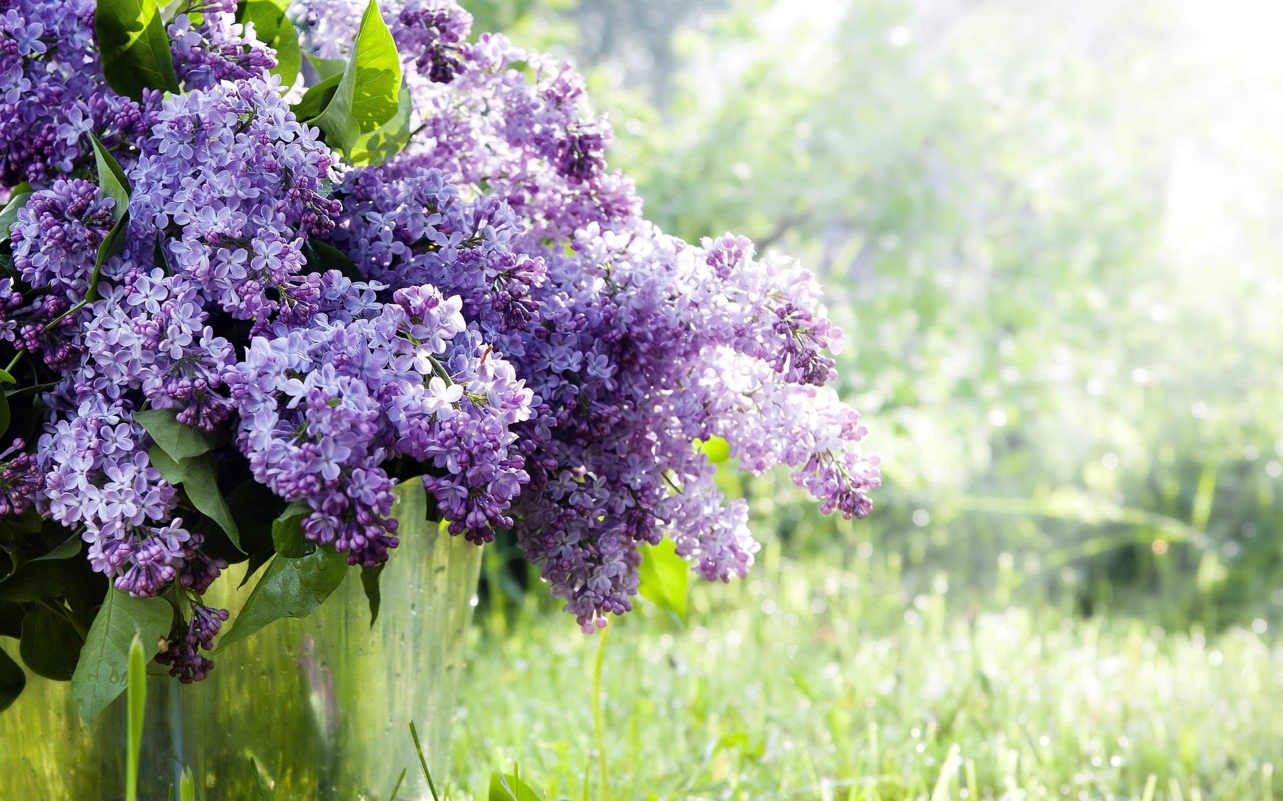 spring, Bucket, Twigs, Flowers, Lilac Wallpaper