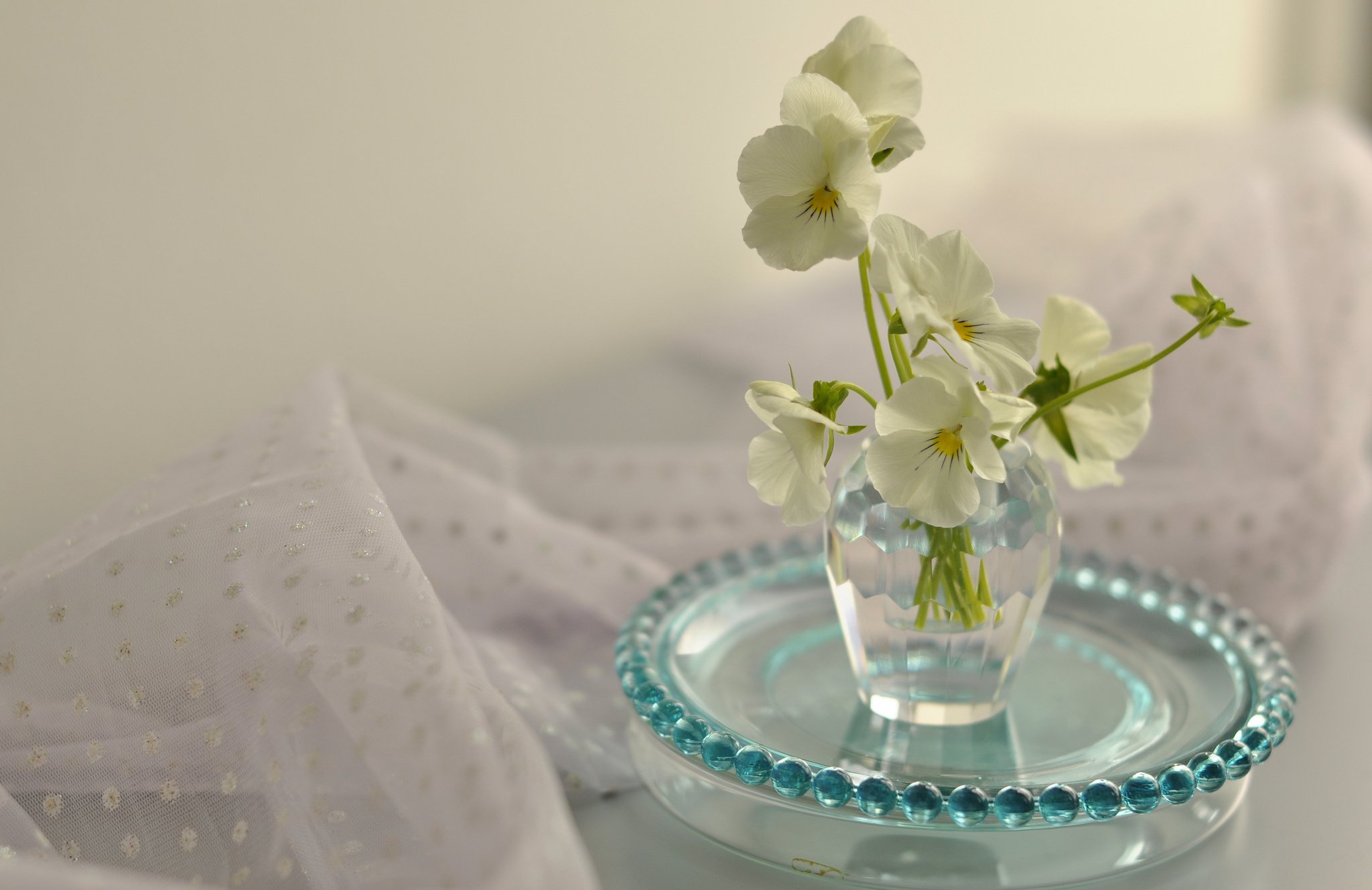 pansies, Vase, Still, Life Wallpaper