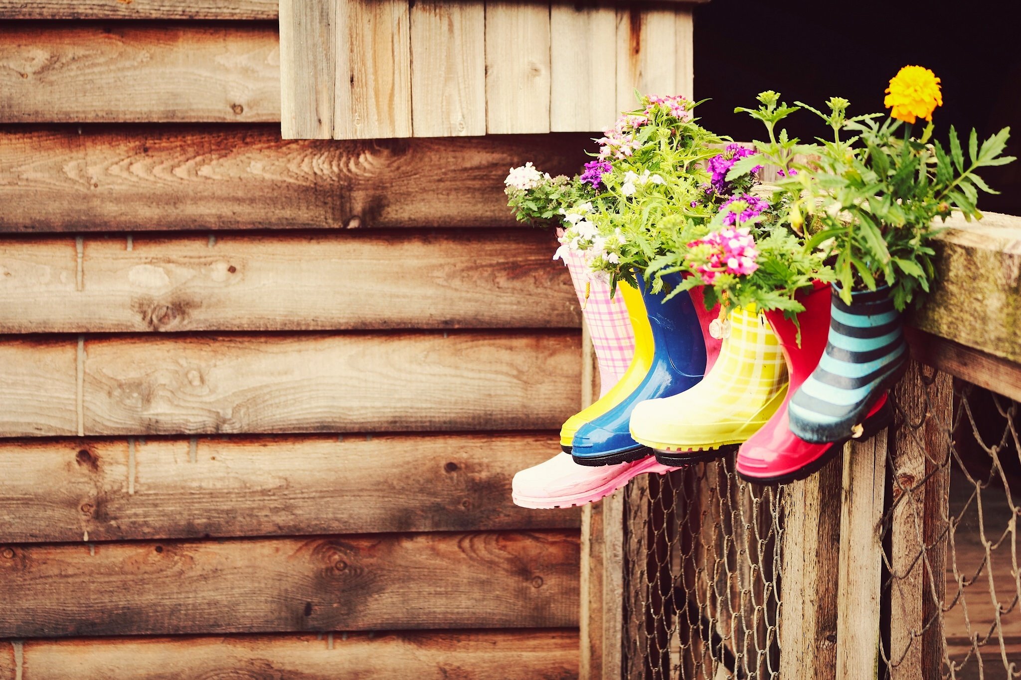 boots, Vases, Flowers, Barn Wallpaper