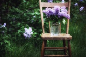 lilac, Bouquet, Bank, Chair, Bokeh