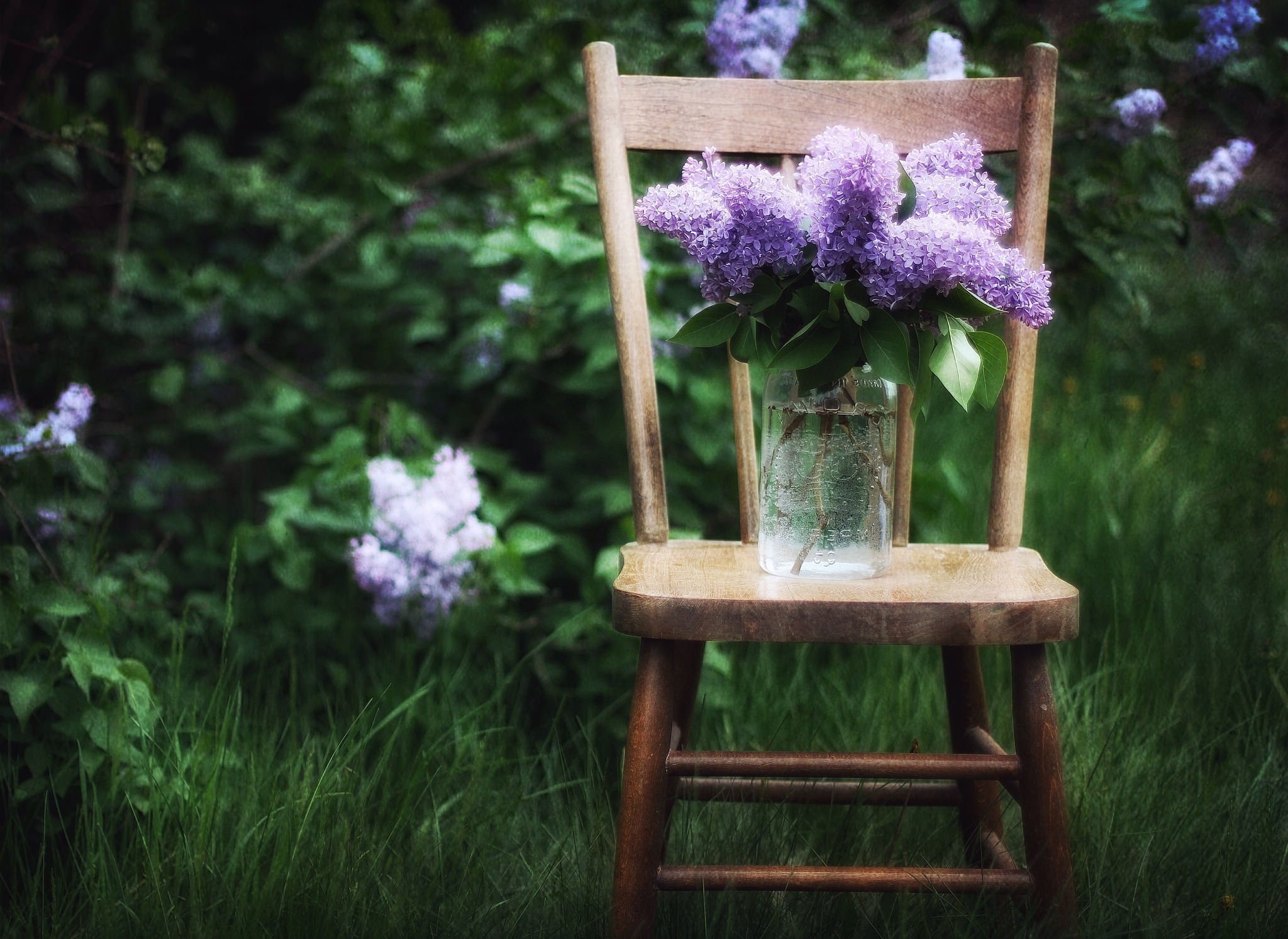 lilac, Bouquet, Bank, Chair, Bokeh Wallpaper