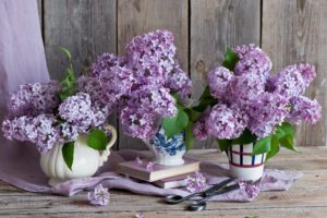 lilac, Bouquets, Books, Scissors