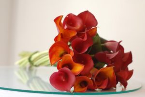 bouquet, Calla, Lilies, Petal, Red