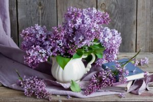 lilac, Bouquet, Branch, Book, Still, Life