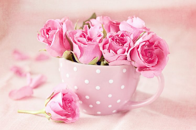 rose, Buds, Cup, Mug, Texture, Pink HD Wallpaper Desktop Background