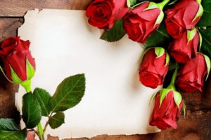 rose, Red, Sheet, Paper