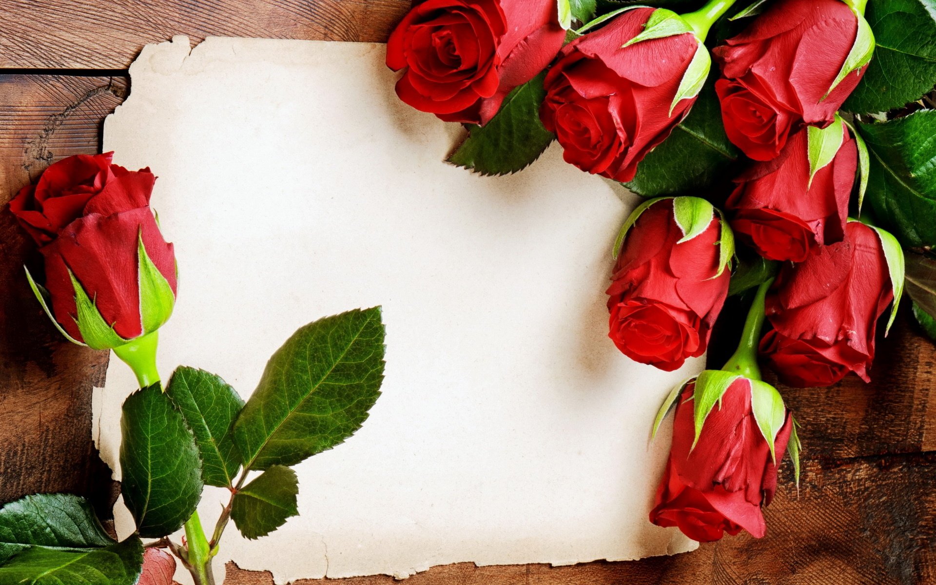 rose, Red, Sheet, Paper Wallpaper