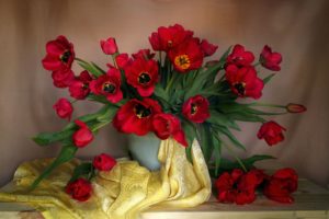 bouquets, Tulips, Table, Vase, Blanket
