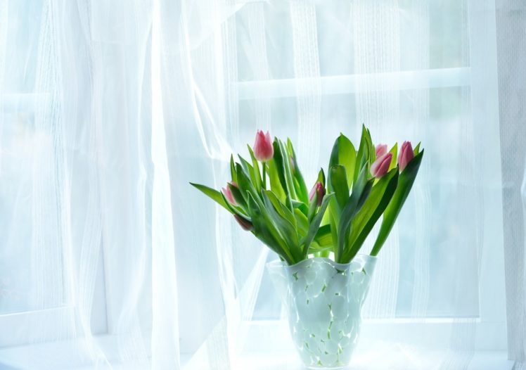 flowers, Vase, Bathroom, Window, House HD Wallpaper Desktop Background