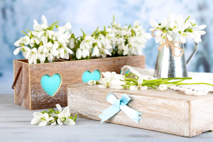 flowers, White, Delicate, Spring, Snowdrops HD Wallpaper Desktop Background