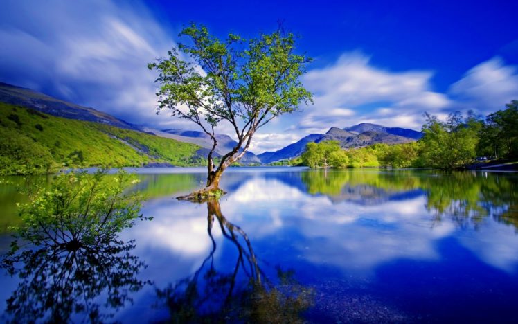 landscape, River, Mountain, Nature, Tree, Forest, Beauty, Lake HD Wallpaper Desktop Background