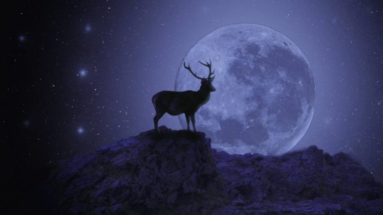 moon, Deer, Sky, Animal, Fantastic HD Wallpaper Desktop Background