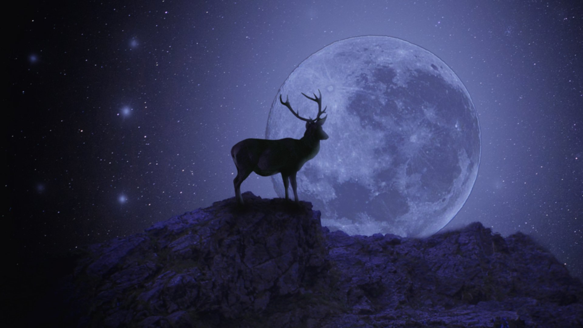 moon, Deer, Sky, Animal, Fantastic Wallpaper