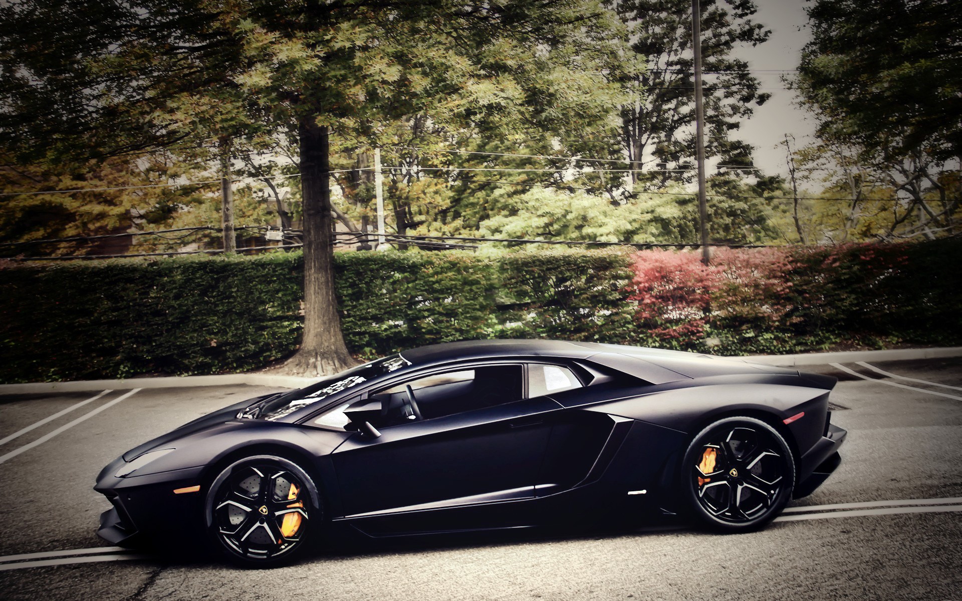 trees, Cars, Lamborghini, Vehicles, Lamborghini, Aventador, Black, Cars Wallpaper
