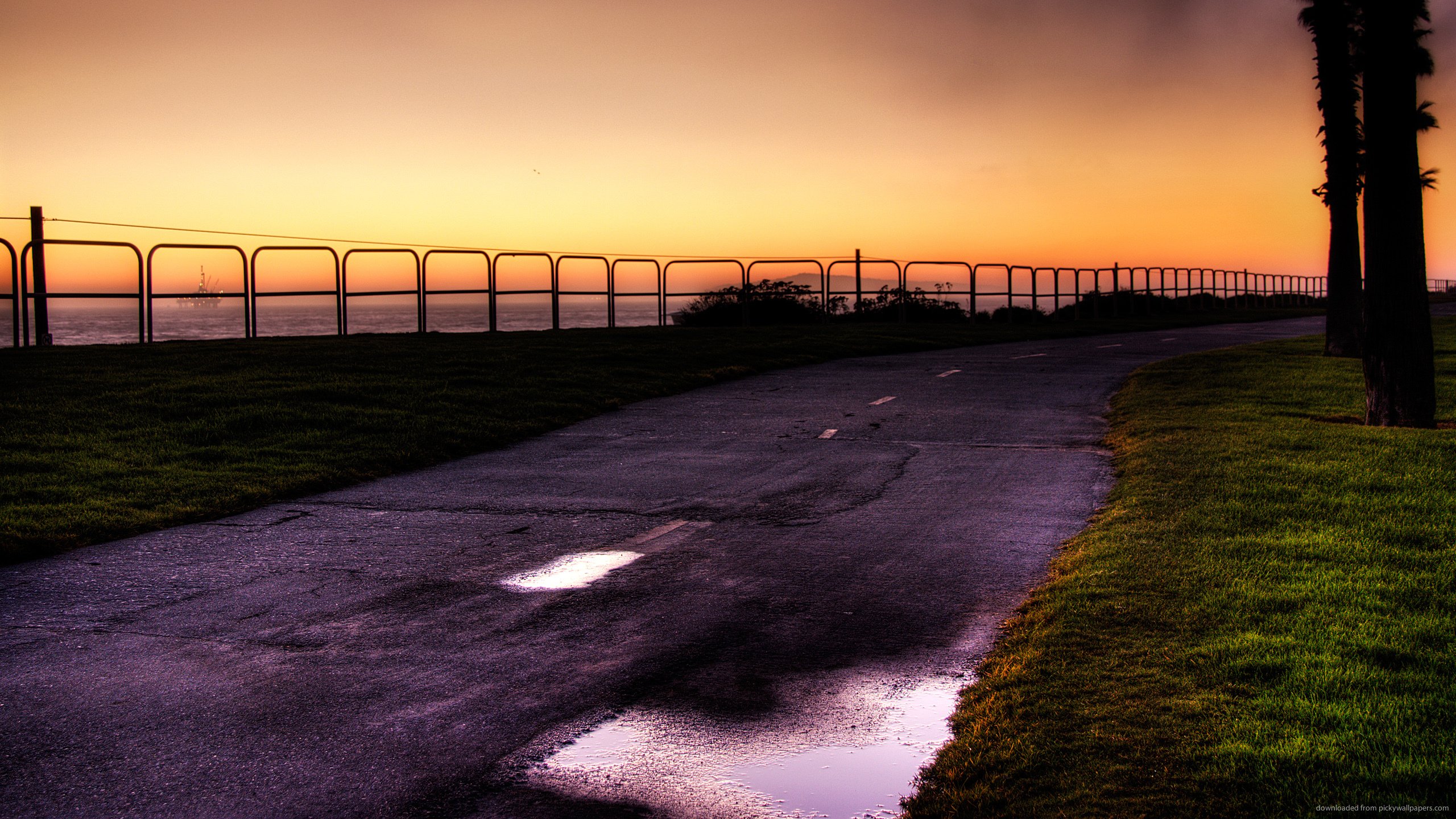 carretera, Noche, Charco Wallpaper