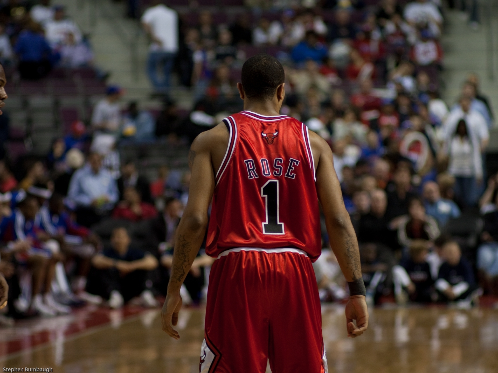 sports Nba Basketball Backview Derrick Rose Depth 