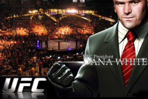 ufc, Mixed, Martial, Arts, Mma, Fight, Extreme