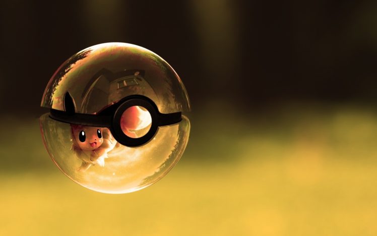 pokemon, Poke, Balls, Eevee, Artwork HD Wallpaper Desktop Background