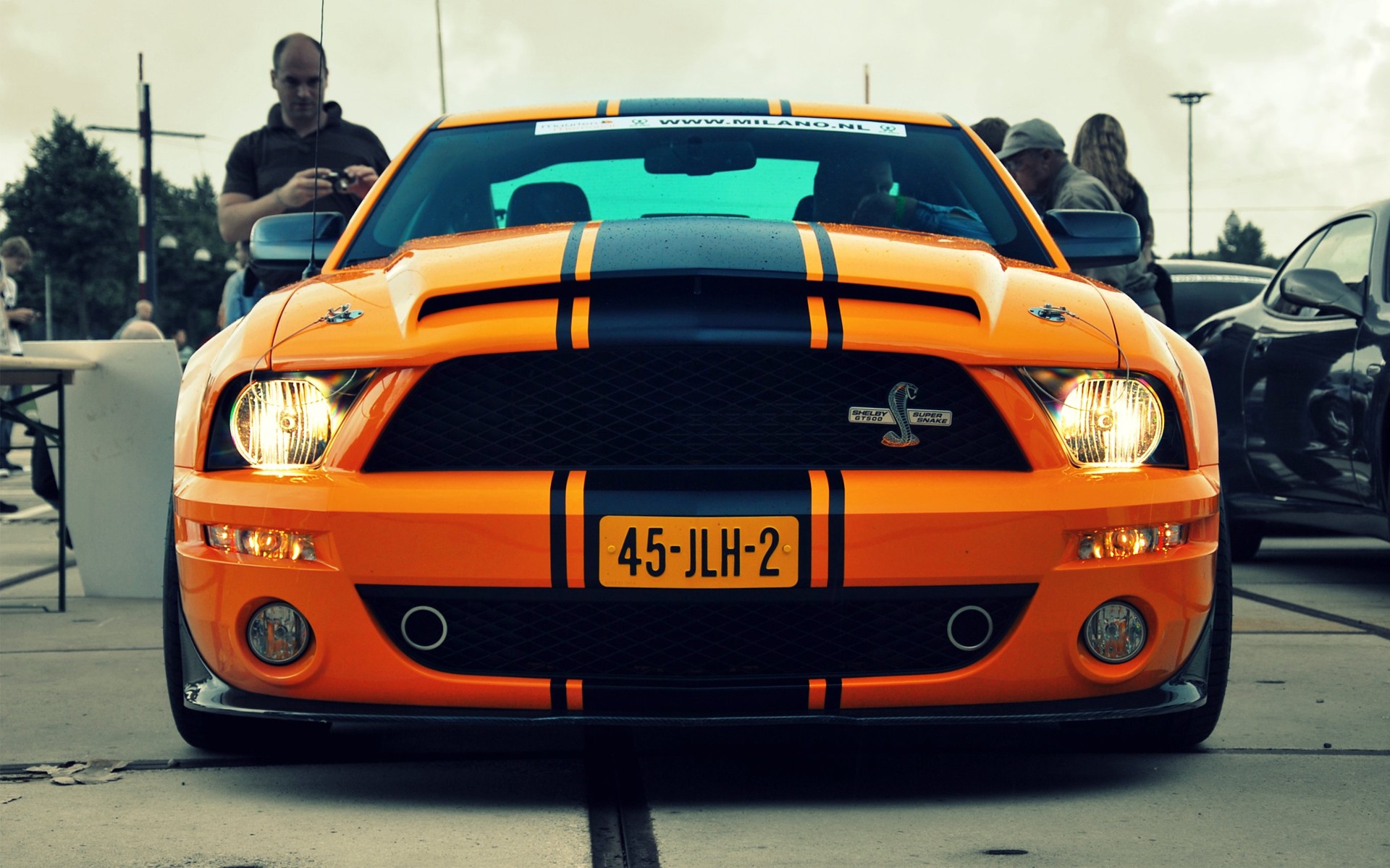 cars, Vehicles, Ford, Mustang, Ford, Shelby Wallpaper