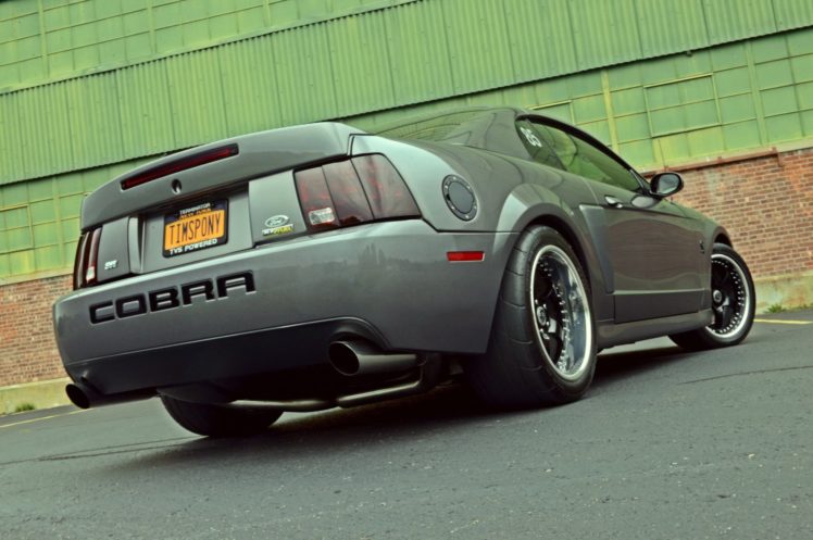 2003, Ford, Mustang, Terminator, Cobra, Cars, Stv HD Wallpaper Desktop Background