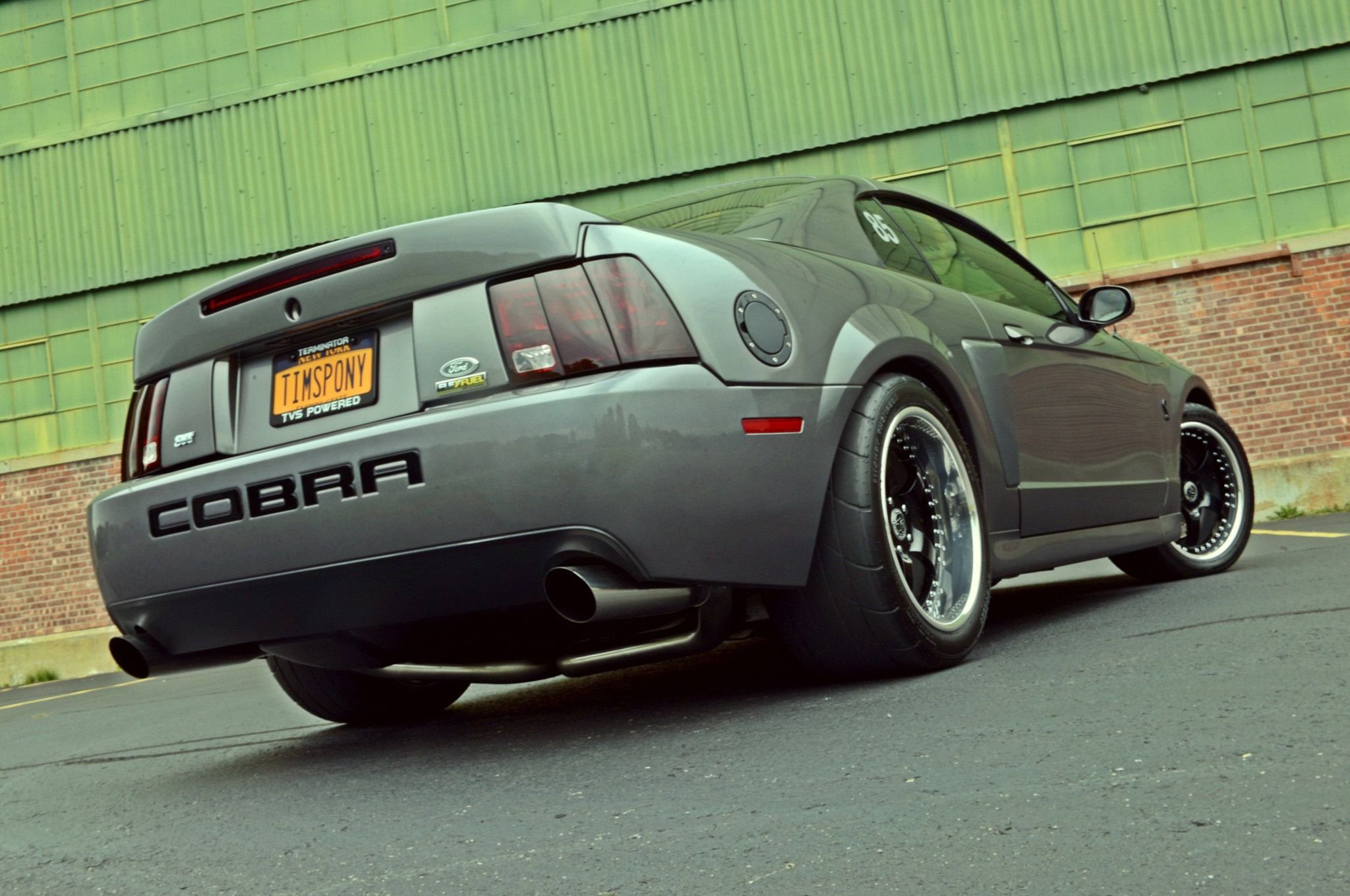 2003, Ford, Mustang, Terminator, Cobra, Cars, Stv Wallpaper