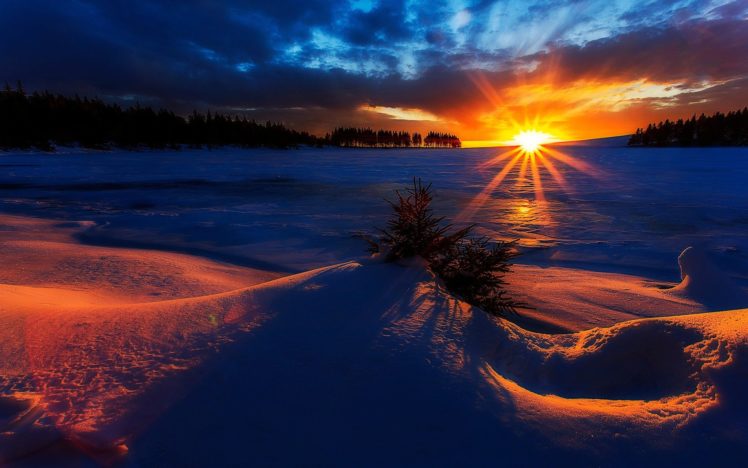 amanecer, Invierno, Sol, Nieve HD Wallpaper Desktop Background