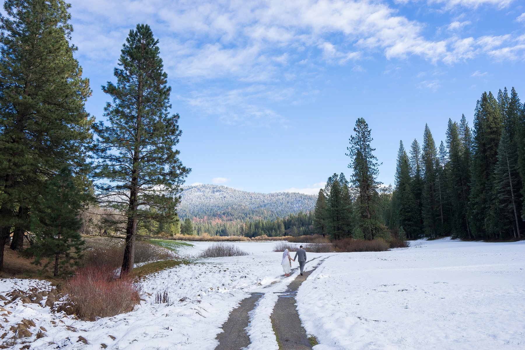 winter, Snow, Nature, Landscape Wallpaper