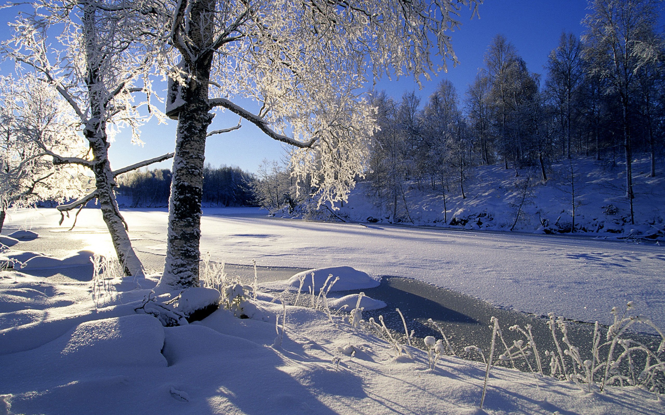 winter, Snow, Nature, Landscape Wallpaper