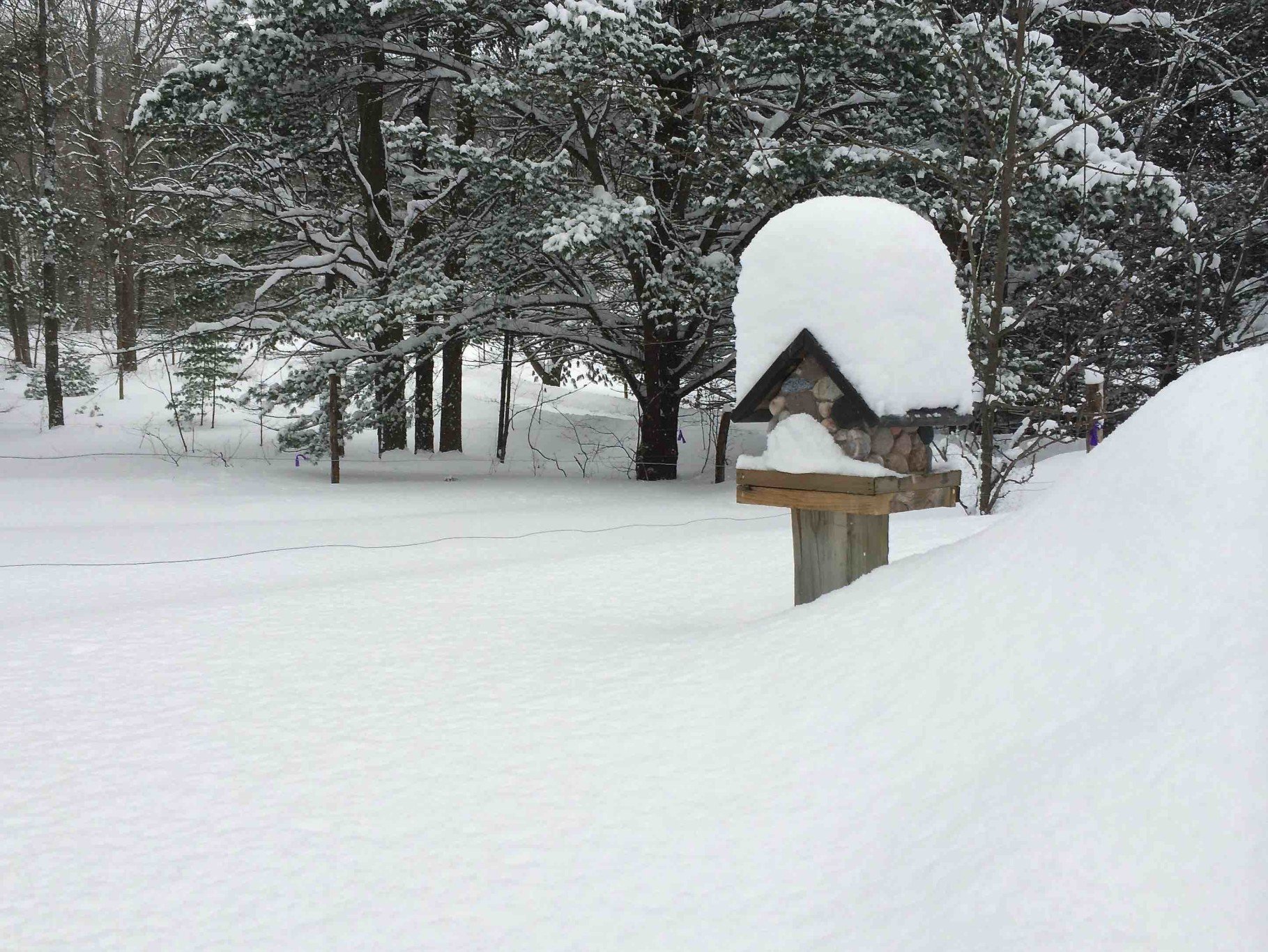 winter, Snow, Nature, Landscape Wallpaper