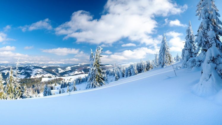 winter, Snow, Nature, Landscape HD Wallpaper Desktop Background