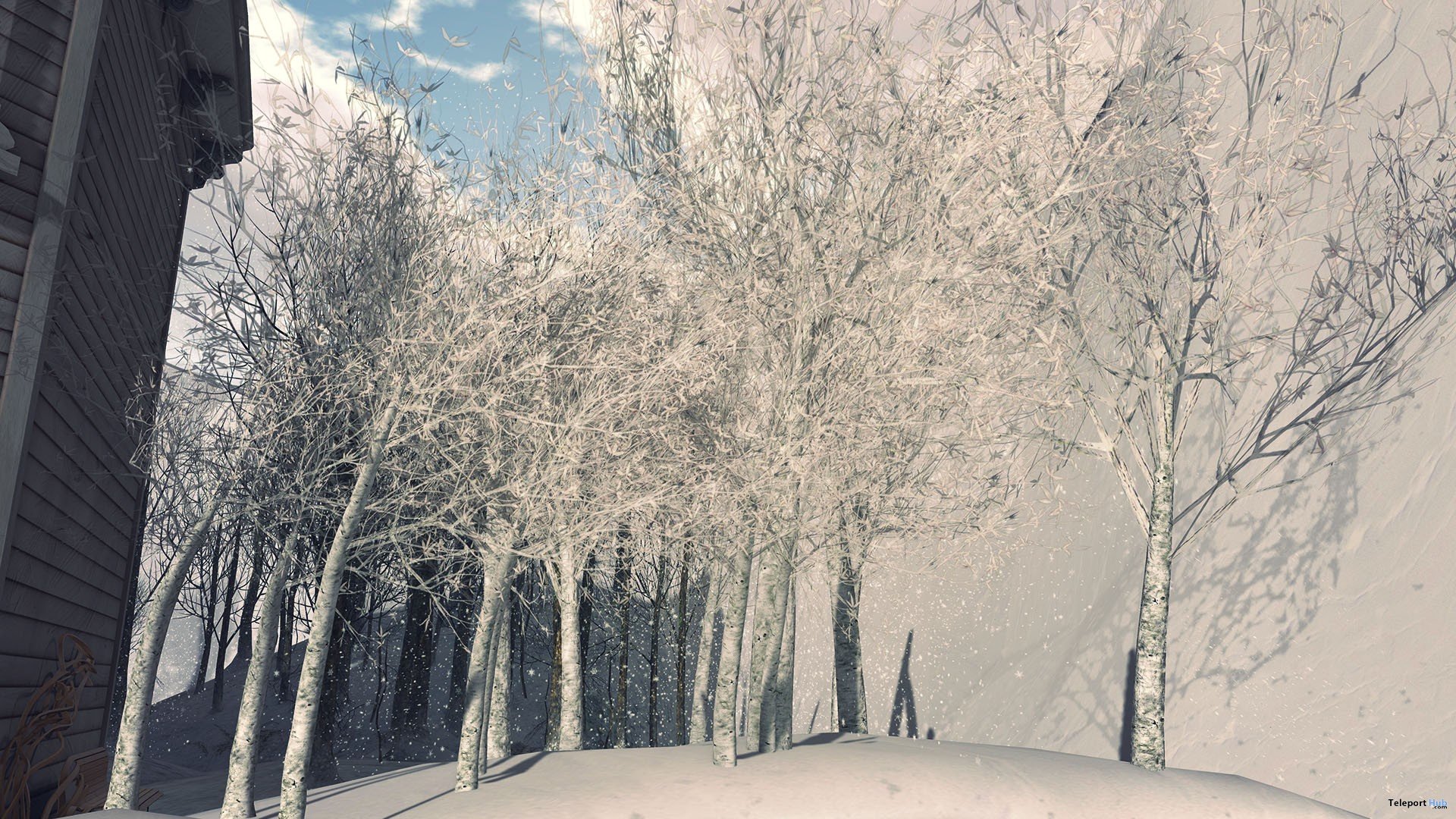 winter, Snow, Nature, Landscape Wallpaper