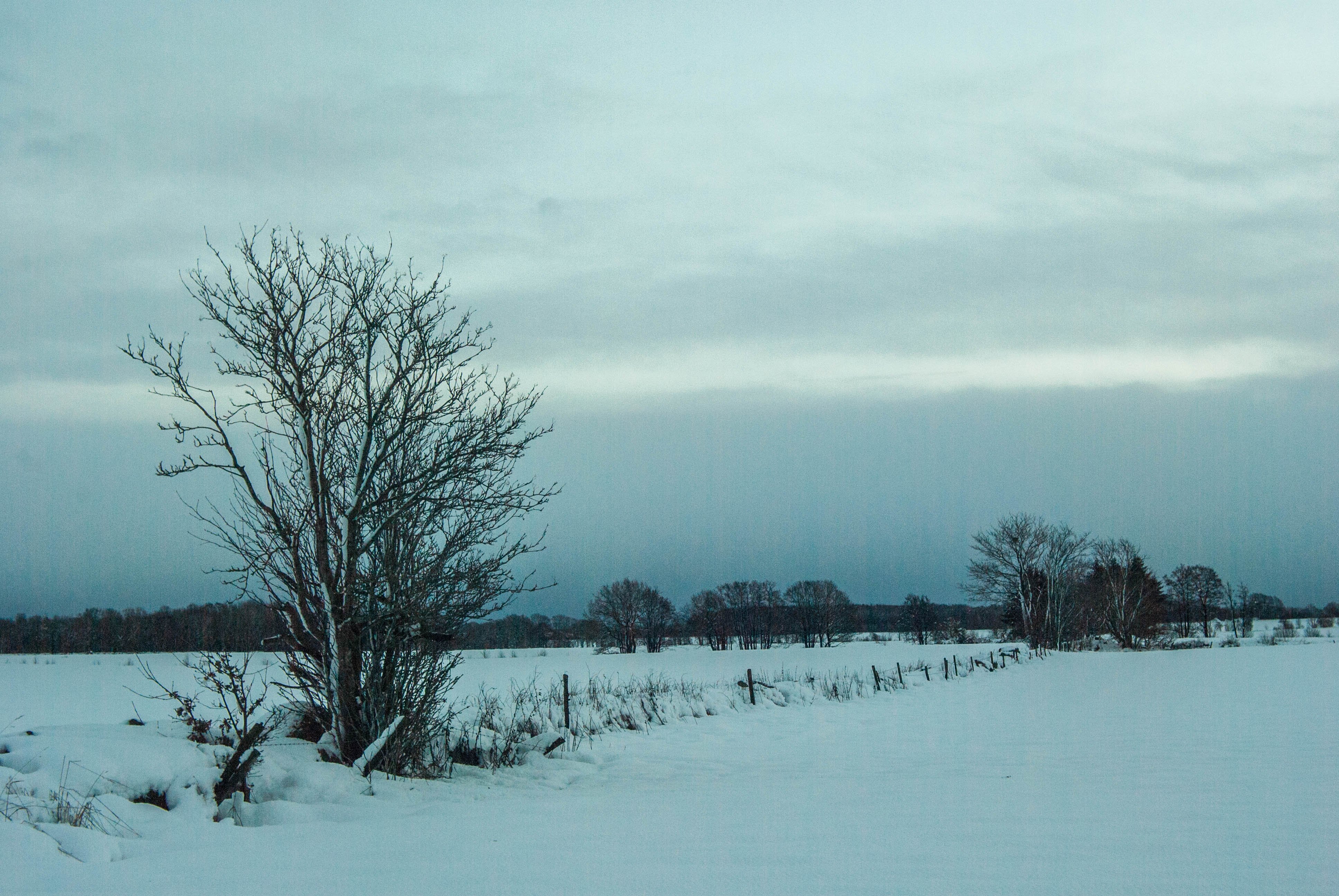 winter, Snow, Nature, Landscape Wallpapers HD / Desktop and Mobile ...