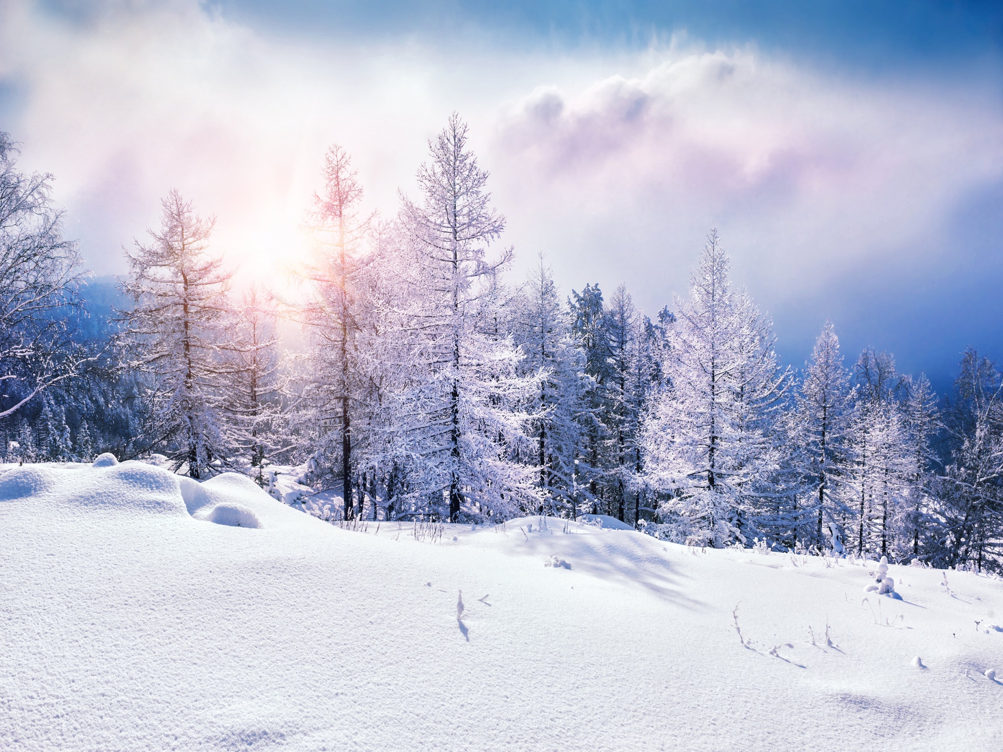 winter, Snow, Nature, Landscape Wallpaper