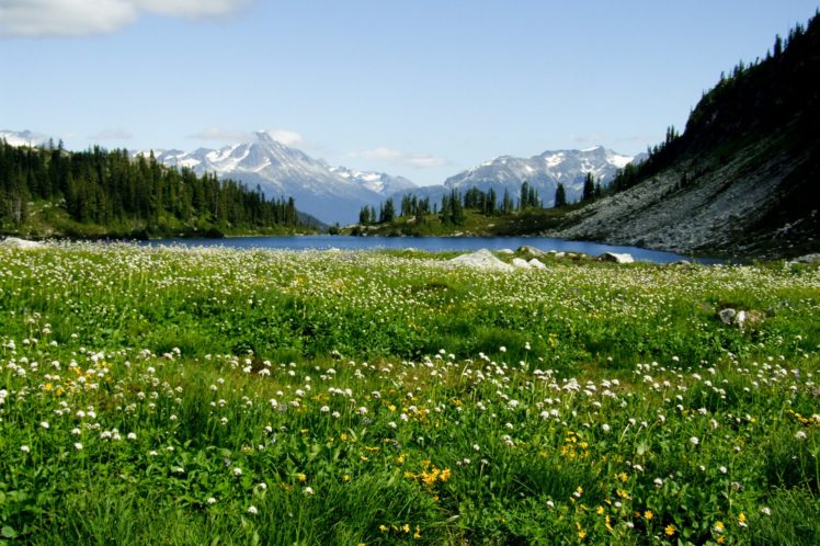 natural, Beauty, Flowers, Forest, Mountain, Lake HD Wallpaper Desktop Background