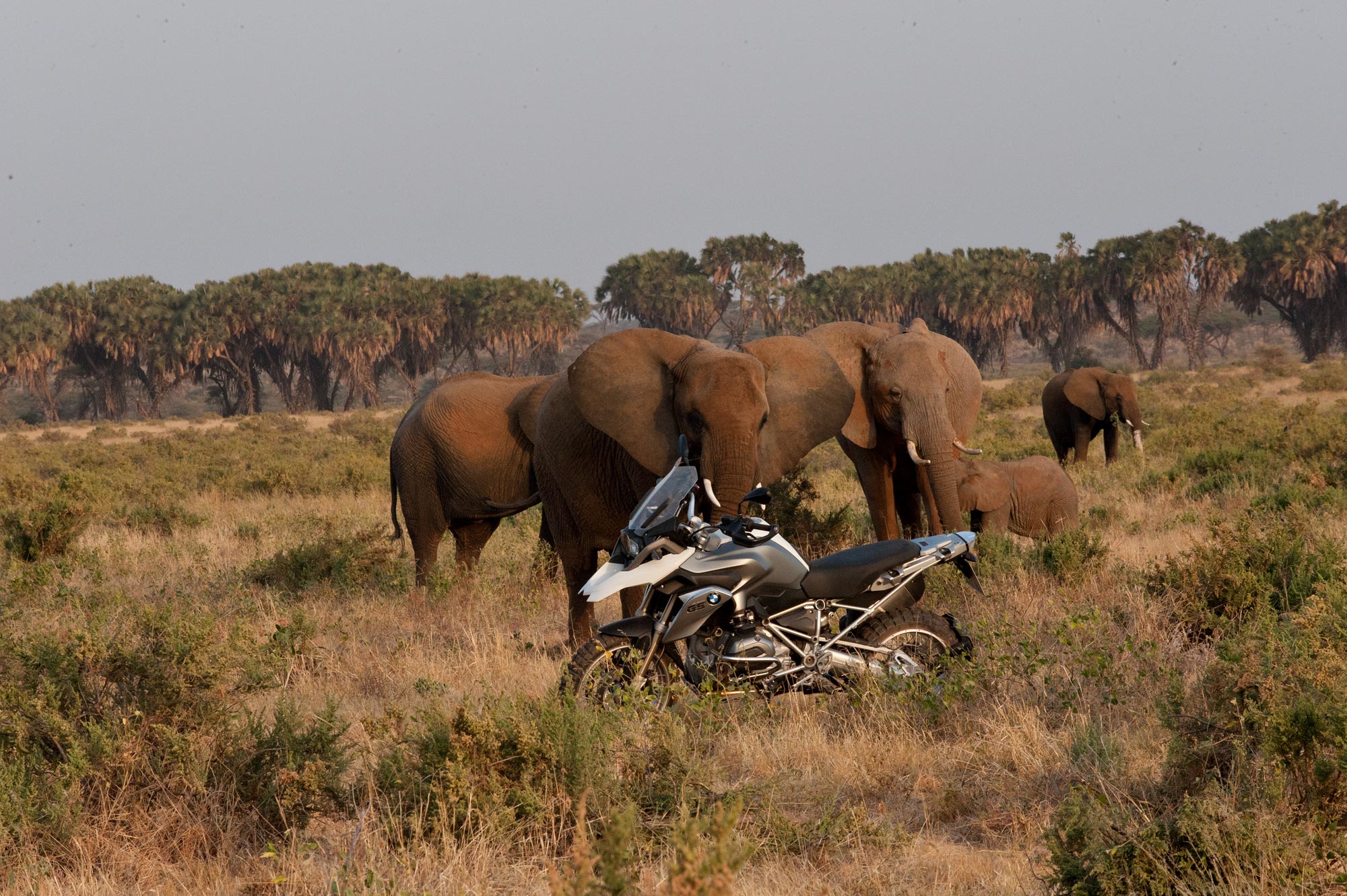 2013, Bmw, R1200gs Wallpaper