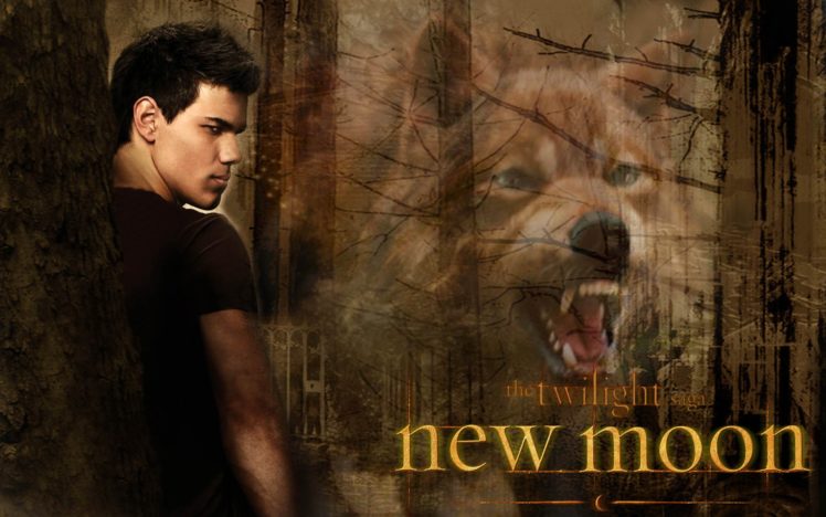 twilight, Drama, Romance, Vampire, Werewolf, Fantasy, Series, Poster HD Wallpaper Desktop Background