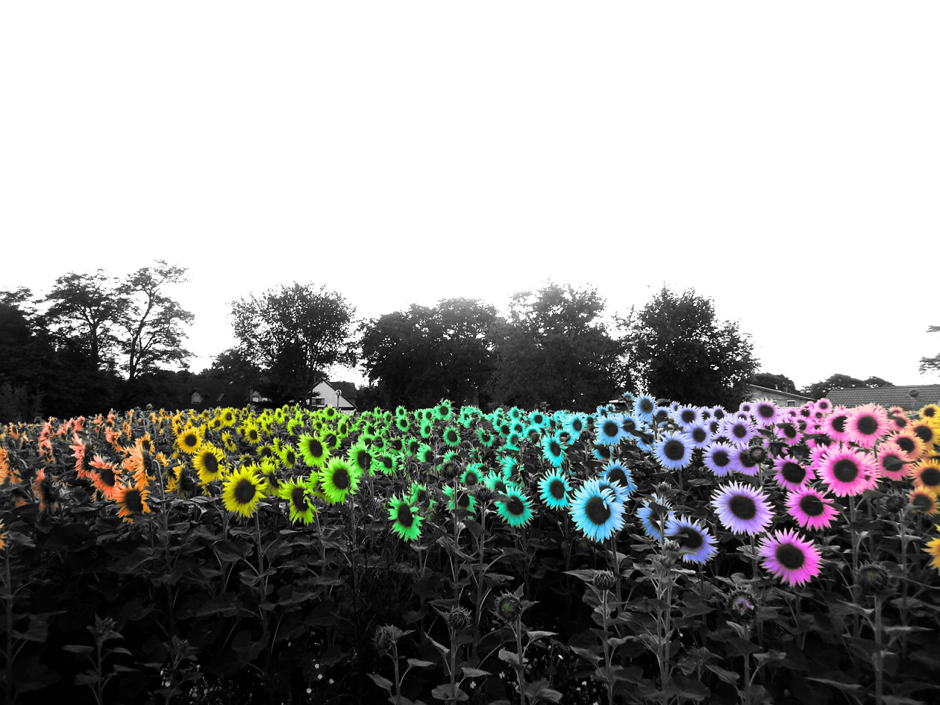 art, Artwork, Photoshop, Manipulation, Fantasy, Photo, Artistic Wallpaper