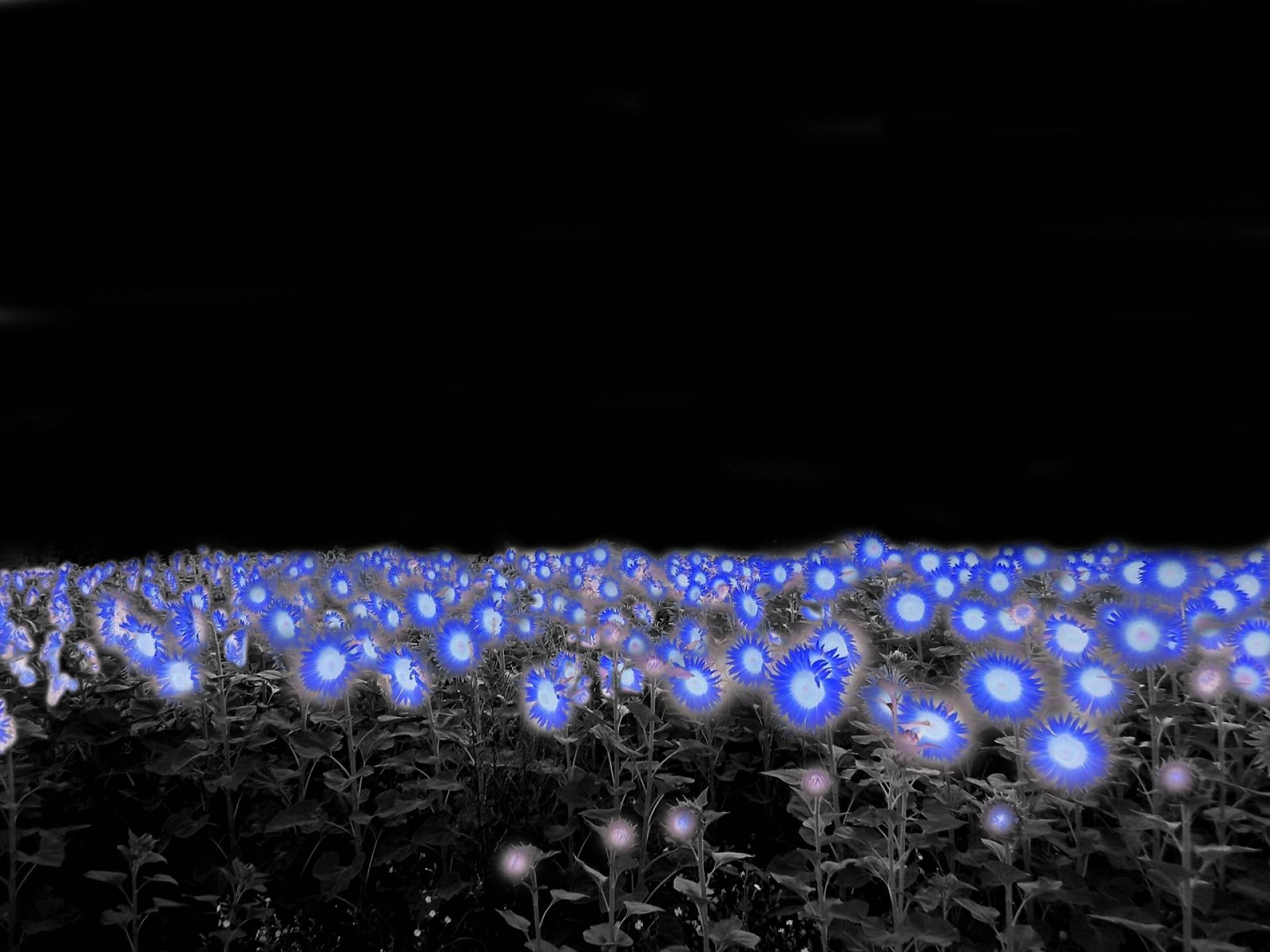 art, Artwork, Photoshop, Manipulation, Fantasy, Photo, Artistic Wallpaper