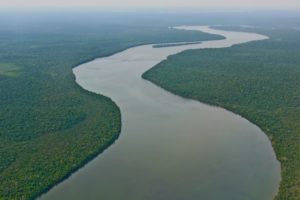 rio, Amazonas, Brasil, Sudamerica, Selva