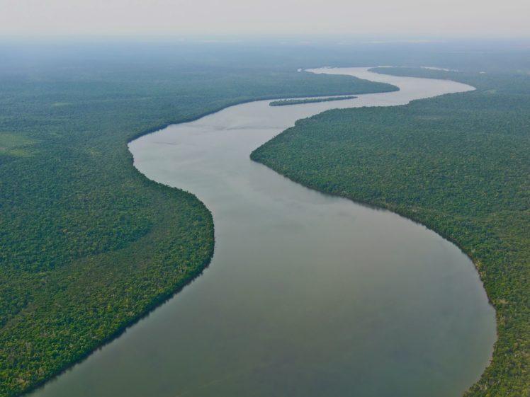 rio, Amazonas, Brasil, Sudamerica, Selva HD Wallpaper Desktop Background