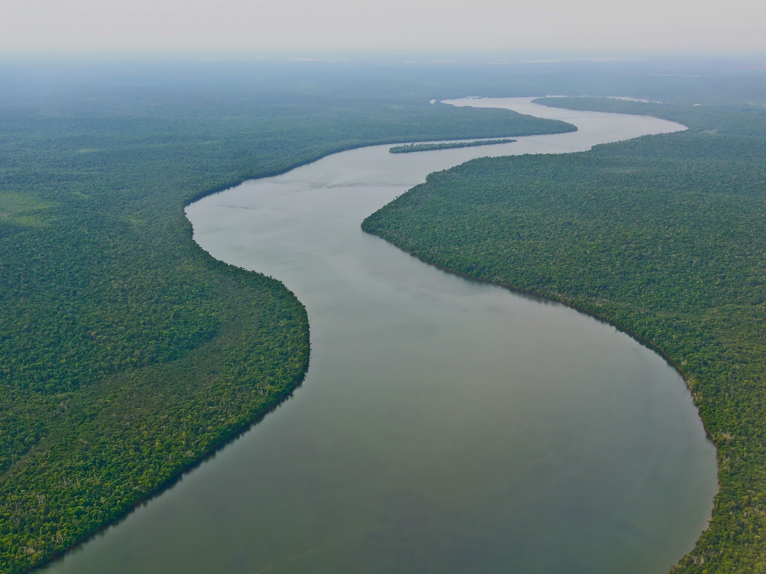 rio, Amazonas, Brasil, Sudamerica, Selva Wallpaper