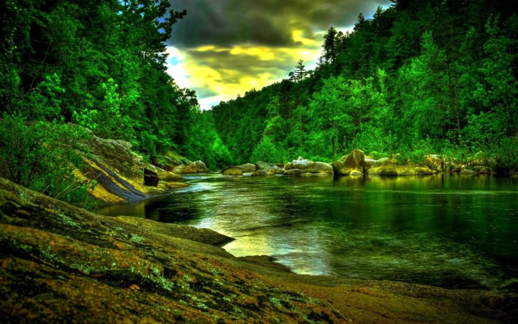 rio, Amazonas, Selva, Naturaleza, Arboles HD Wallpaper Desktop Background